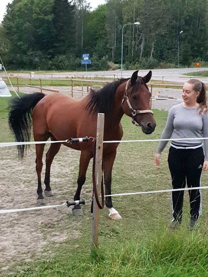 Myskje Gard Gastgiveri Soderala Екстериор снимка